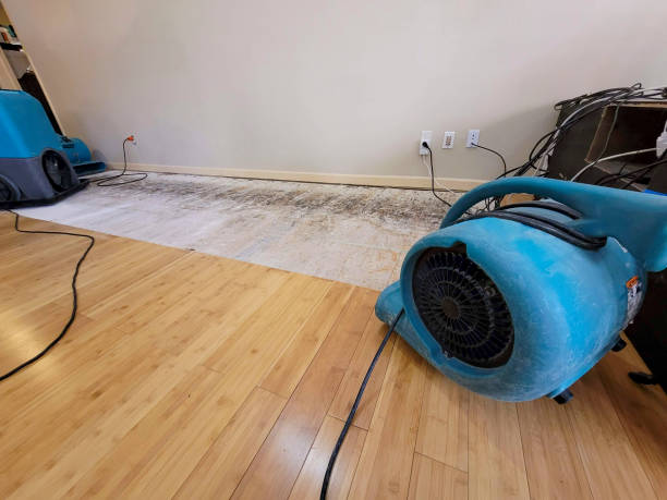 Reliable Burst Pipe Cleanup contractor in West, MS by San Diego Water Damage Company